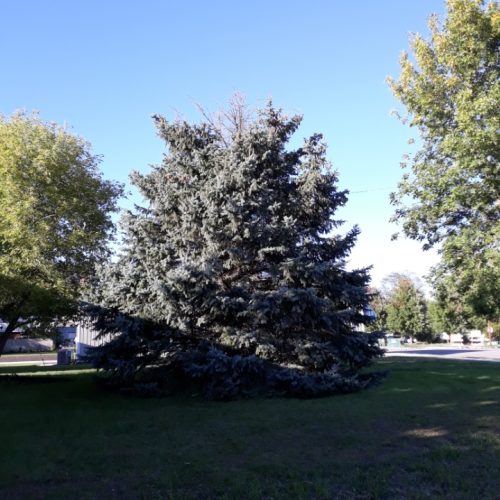 Resized_20210917_172458 Resized_20210917_172458