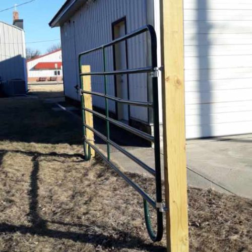 Resized_20250131_152118